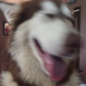 Meet your Posher, Trish